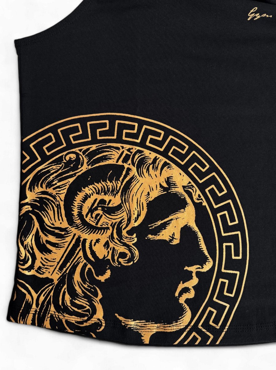 Alexander der Grosse Gesicht Logo in Gold