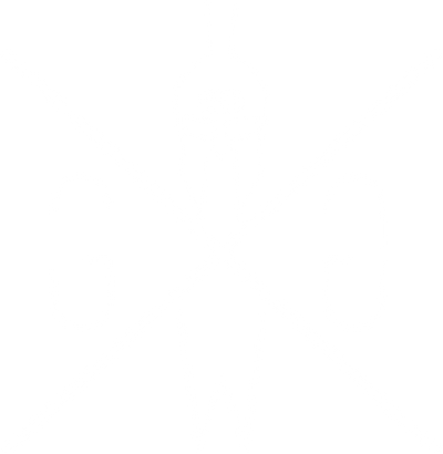 Gym Generation